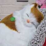 عروسک گربه خوابیده روی تشک - تصویر 2