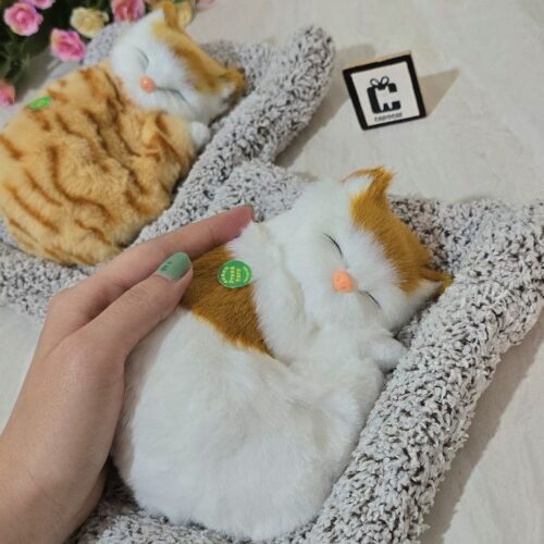 عروسک گربه خوابیده روی تشک – کیوت، نرم و صدا دار